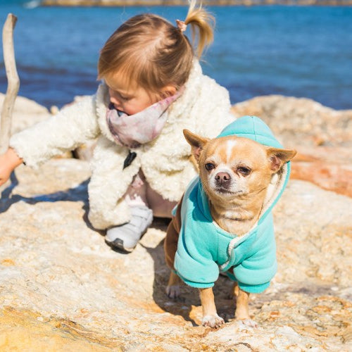 Children and Dogs: How to Keep things Harmonious