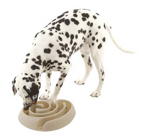 http://www.doggiesolutions.co.uk/cdn/shop/products/BUSTER-Dog-Maze-Food-Bowl-B.jpg?v=1678200268