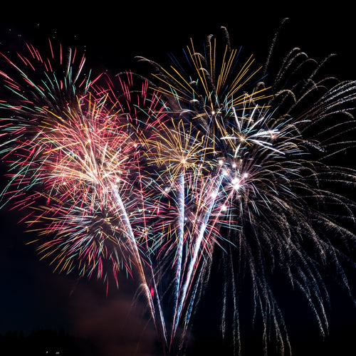 HOW TO HAVE A CALM AND HAPPY DOG ON BONFIRE NIGHT