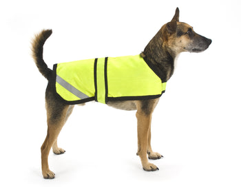 Night Safety - Flashing and Reflective wear