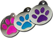 <br>Glitter Pet Tags</br> Please Bear With Us As We Update And Improve Our Product Range In The Meantime, Please Explore Our Website And Check Out Our Other Amazing Products! Thank You.