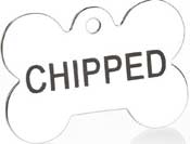 <br>Stainless steel Dog tags</br> Please Bear With Us As We Update And Improve Our Product Range In The Meantime, Please Explore Our Website And Check Out Our Other Amazing Products! Thank You.