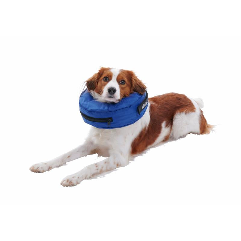Inflatable post op dog collar Clearance