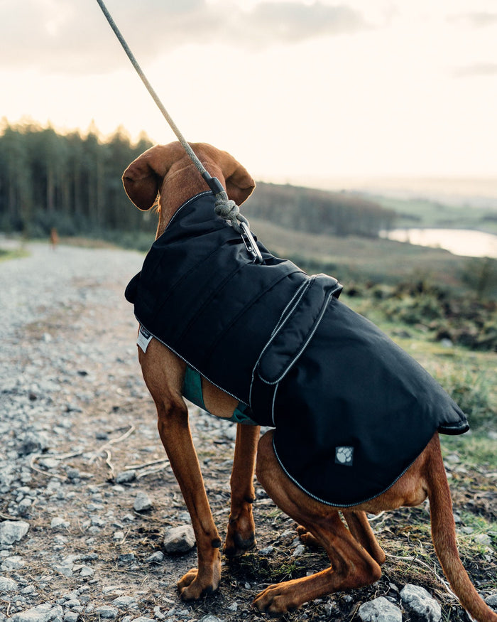 Harness Dog Coats by Danish Design Doggie Solutions