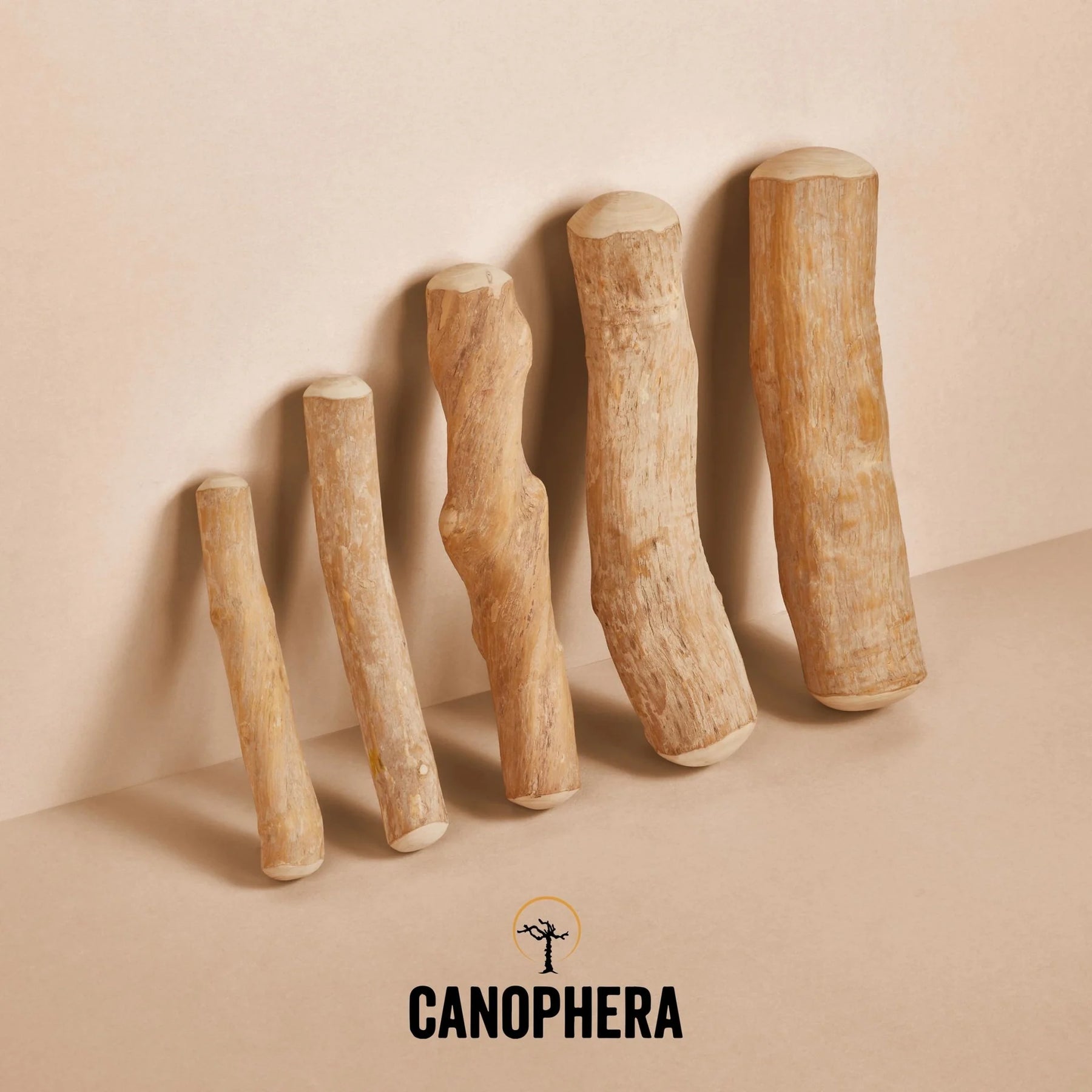 Coffeewood chews top