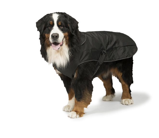 2 in 1 Harness Dog Coats by Danish Design Doggie Solutions