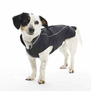 Rain Coat