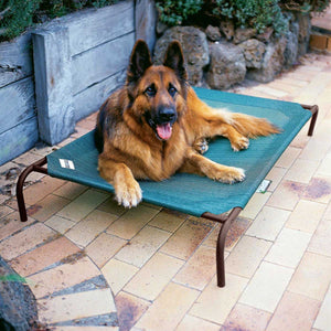Large Bed