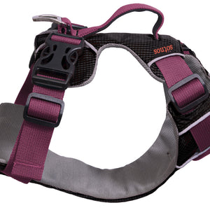 Pink Harness
