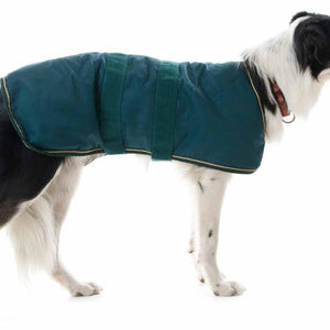 Waterproof Dog Coat