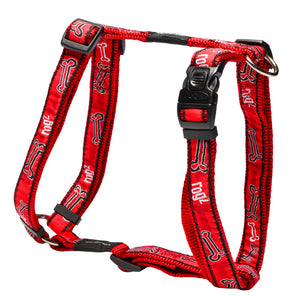 Beachbum Harness