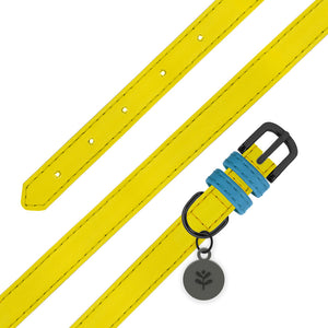 Sotnos Yellow & Blue Bold Bright Dog Collar